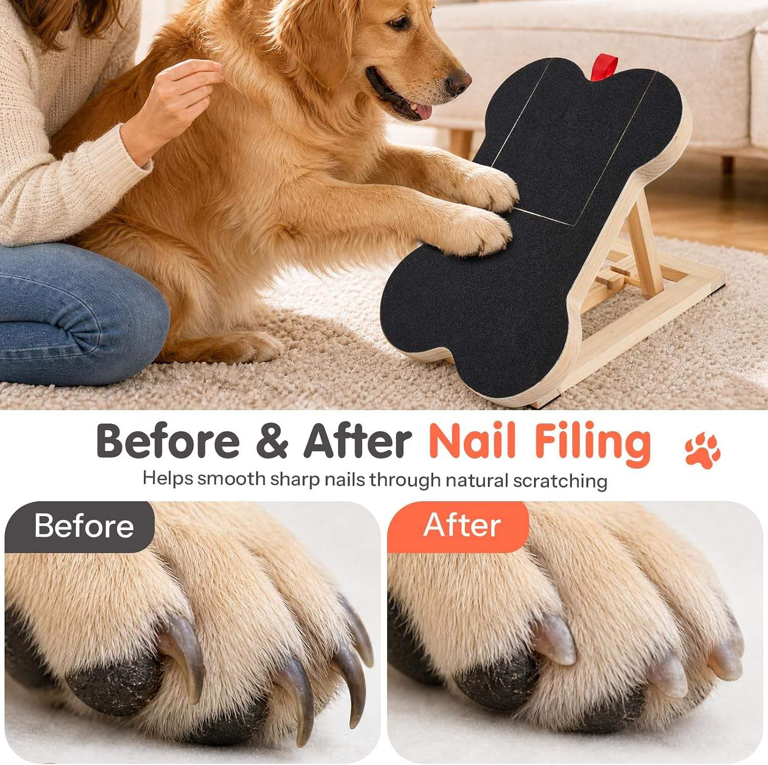 แผ่นขัดเล็บสุนัขไม้พร้อมแผ่นรอ - Woodworking Files บทวิจารณ์และราคา